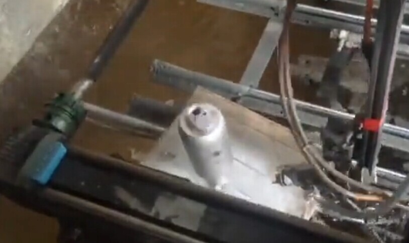 CCM直線滑臺(tái)模組噴漆應(yīng)用 CCM直線滑臺(tái)模組噴漆應(yīng)用